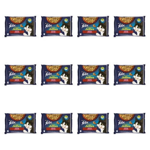 1773269803004-3493-2-x12-y7oc2w.png