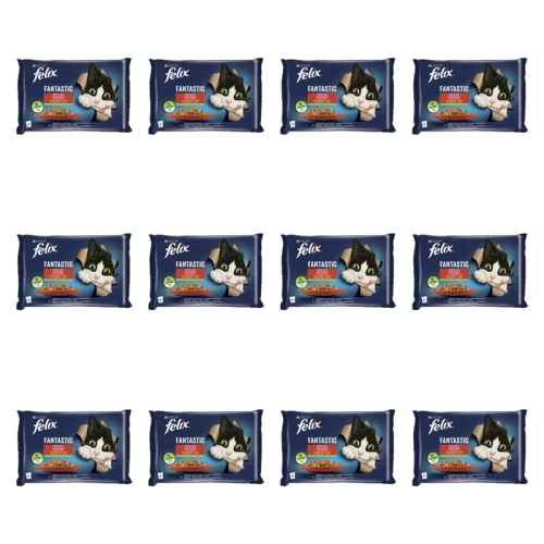 1773269807254-3498-2-x12-dqwbxc.png