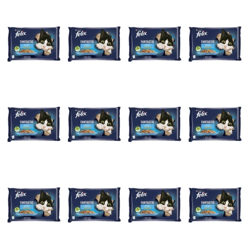 1773269808015-3499-2-x12-45b1ca.png