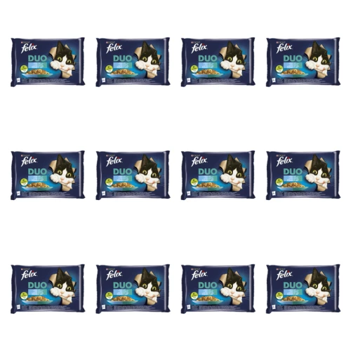 1773269808862-3500-2-x12-mhizcc.png