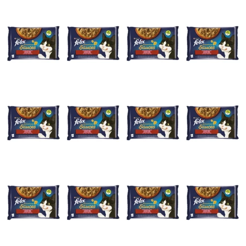 1773269810281-3502-2-x12-wy9kh.png
