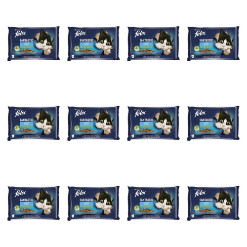 1773269810974-3503-2-x12-gzctpb.png