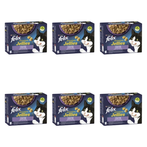 1773269814122-3507-2-x6-ahr4g.png