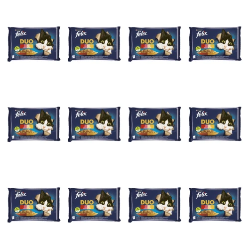 1773269814991-3508-2-x12-vtcom.png