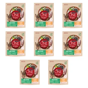 Purina ONE MINI Active Karma dla psa Kurczak Ryż 800g X8