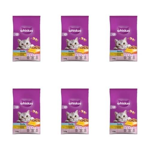 1773270210944-3996-2-x6-jsdsk.png