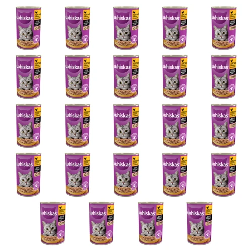 1773270212487-3998-2-x24-3quoui.png