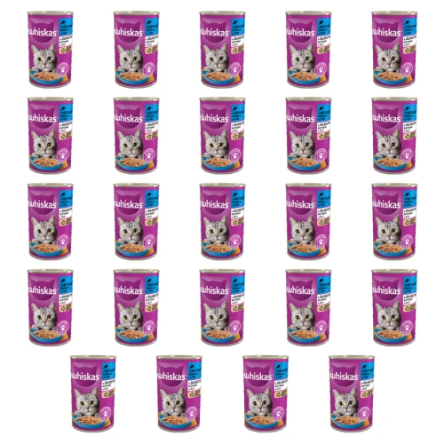 1773270213614-3999-2-x24-pnhsi.png