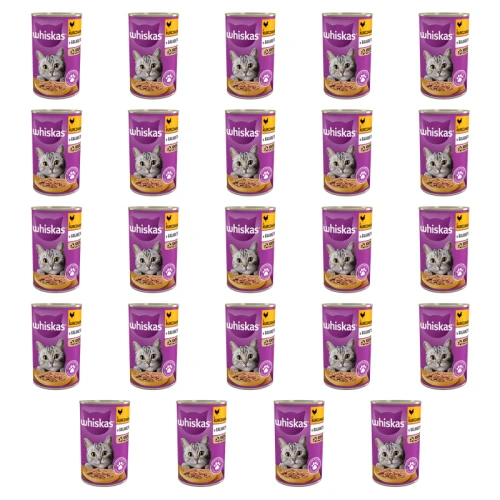 1773270215709-4001-2-x24-6g81dd.png