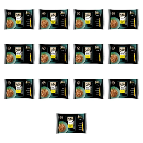 1773270288800-4111-2-x13-peum9.png