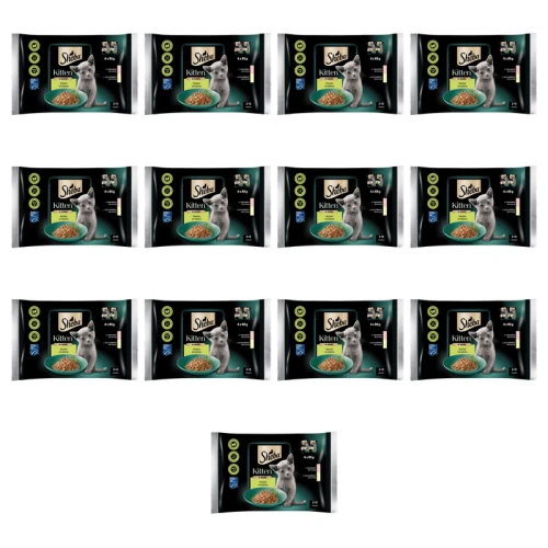 1773271199819-5359-2-x13-scxtqc.png