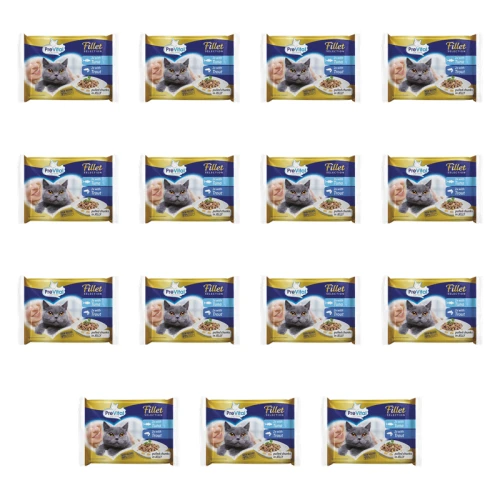 1773271320430-5513-2-x15-vmjk4.png