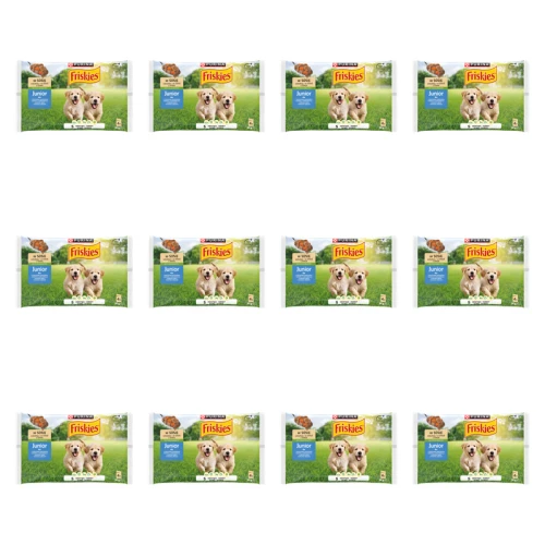 1773271747784-6045-2-x12-q81wli.png
