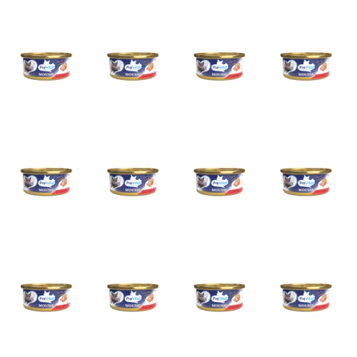 1773272263554-6681-2-x12-6sceg.png