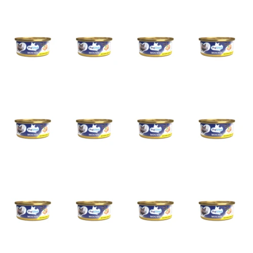 1773272264061-6682-2-x12-1js8uk.png