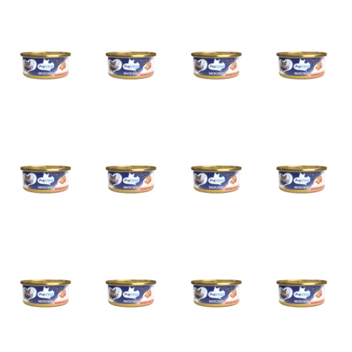 1773272265254-6684-2-x12-wgwz1.png