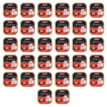 Animonda Vom Feinsten Senior wołowina 100g X32