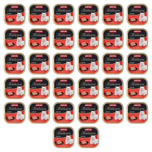 Animonda Vom Feinsten Senior wołowina 100g X32
