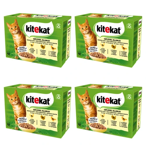 1773273969820-9142-2-x4-m6pk3.png