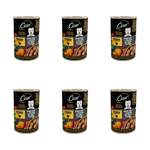 1773274049774-9246-2-x6-xypomt.png