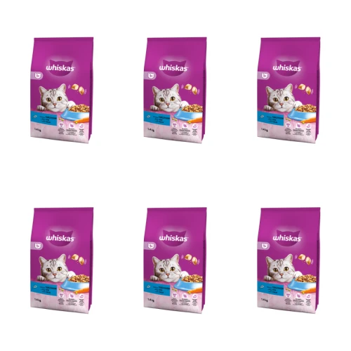 1773274268266-9555-2-x6-dm9ncs.png
