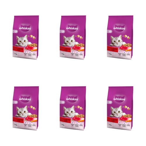1773274268948-9556-2-x6-gjwcg.png