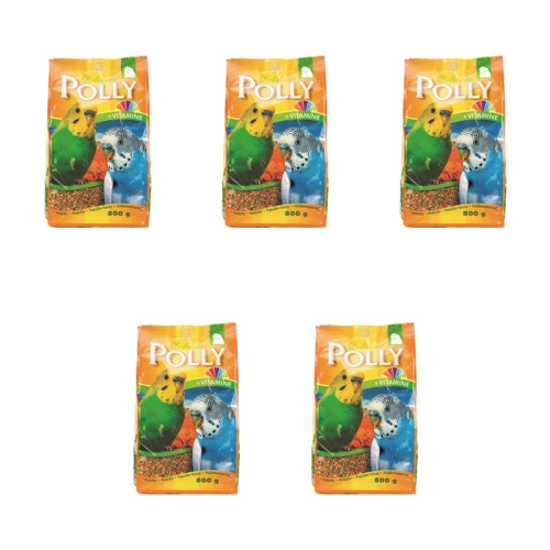 1773275169522-10900-2-x5-xvkcg.png