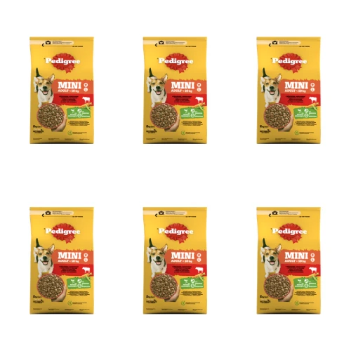 1773275337973-11161-2-x6-uyz17j.png