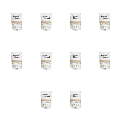 1773275924381-11984-2-x10-roh81m.png