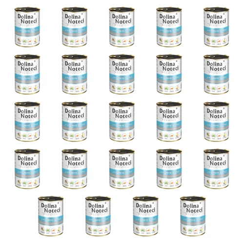 1773275925725-11986-2-x24-b9f5fi.png