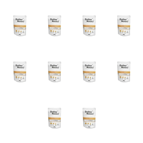 1773275926419-11987-2-x10-8jni4.png