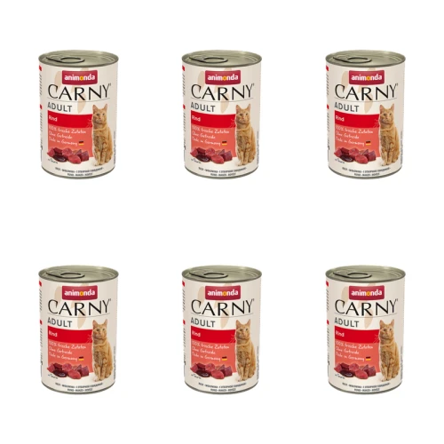 1773276321823-12520-2-x6-ym4lw.png