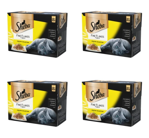 image-editor%2Fmultipack%2F1777030486721-r71-c1-x4.png