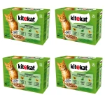 kitekat Delikatne smaki w sosie 1,02 kg (12x85 g) X4