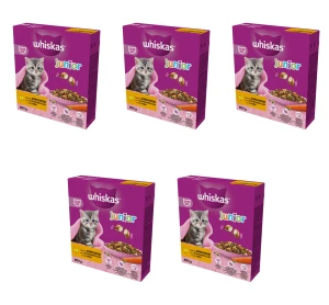 Whiskas Junior 2-12 miesięcy Sucha karma z kurczakiem 800 g X5