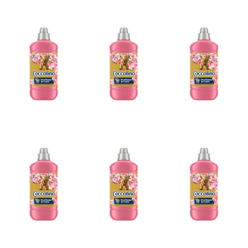 1773269605426-3230-2-x6-yuwpon.png