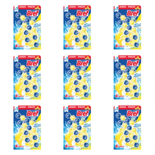 1773267269415-36-2-x9-7urd8.png