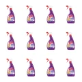 1773268677961-1970-2-x12-sgshg.png