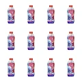 1773268681361-1976-2-x12-5p6t6.png