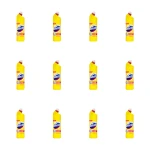 Domestos Citrus Fresh 1L X12