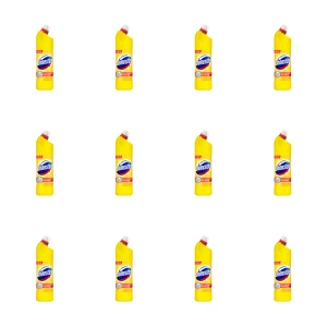Domestos Citrus Fresh 1L X12