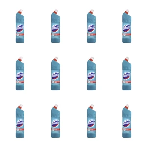 Domestos Atlantic 1L X12