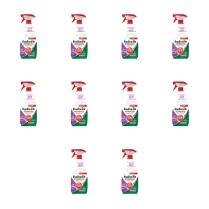 Ludwik MAXX POWER kamień i rdza 600 ml X10
