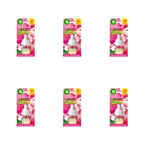 1773276369656-12588-2-x6-d35bu.png