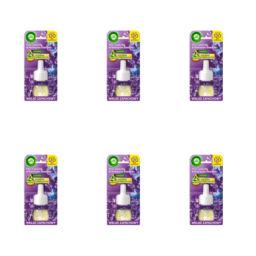 1773276403066-12644-2-x6-qz3owk.png