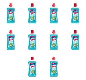 Uniwersalny płyn do mycia eukaliptusowy Tytan 1l X10