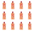 image-editor%2Fmultipack%2F1777034215906-r3642-c1-x12.png
