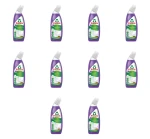 Frosch Lawendowy płyn do WC 750 ml X10
