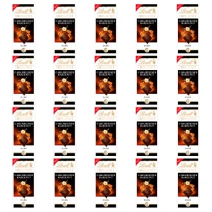Lindt EXCELLENCE Dark Caramelised Hazelnut 100g X20