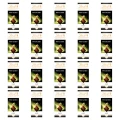 1773272417220-6899-2-x20-u0moq.png